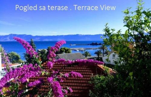 Apartments Panorama - Foto 25