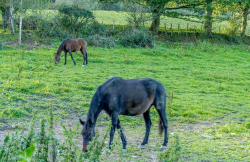 The Cottage-Uk32854 - Photo 21