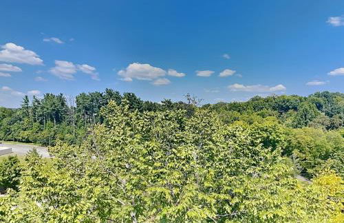 Cedar Lodge by Jackson Mountain Rentals - Foto 10