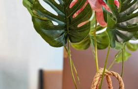 BOX 360 - Container SUSPENSO! - Foto 8