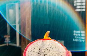 Ninho de Aço - Casa Container! - Foto 6