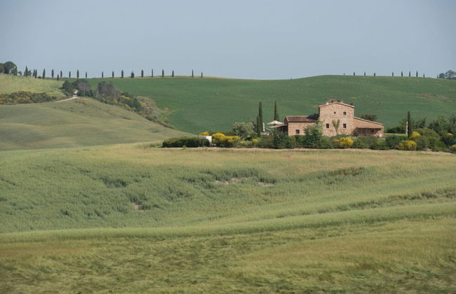 Verdidea - PRUGNOLO - Foto 61