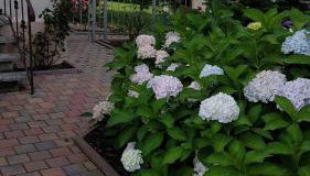 Ferienwohnung1 Grimma - Foto 3