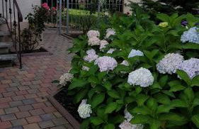 Ferienwohnung1 Grimma - Foto 3