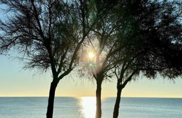 BADAROSA House10min to BARCELONA City&NearTo BEACH - Photo 7