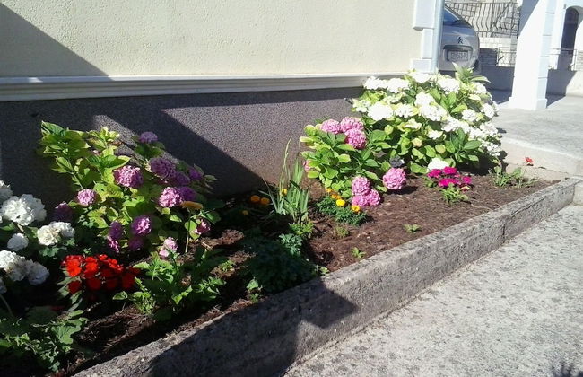 Superior Apartment in Stari Grad - Foto 39