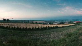 Agriturismo Colle Tripio - Foto 5