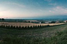 Agriturismo Colle Tripio - Foto 5