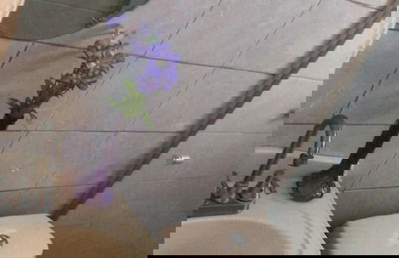 Loma Bonita 130 - Foto 31