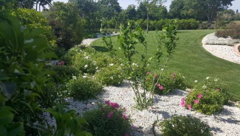 Villa Giò - Foto 4, Garden