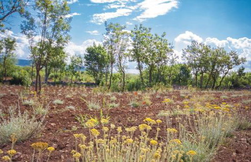 Two-Bedroom Holiday Home In Radonic - Foto 14