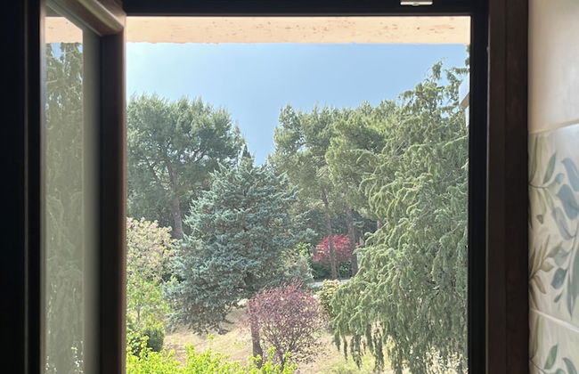 AgriBio Villa Ribes - Foto 31