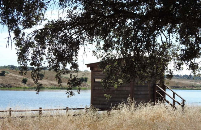 Observation d'oiseaux en Estrémadure - Photo 6