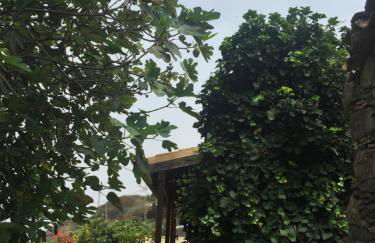 Casa Rural Las Rosas - Foto 19