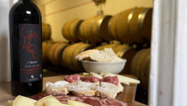 Winery Tour & Tasting in Pisa Countryside - Photo 3