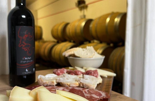 Visita a bodega y degustación en el campo de Pisa - Foto 3