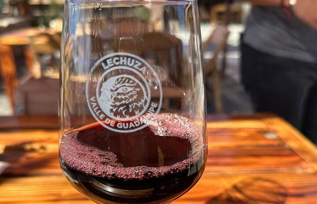 Private Deluxe Wine Tour to Valle de Guadalupe by Luxury Vehicle - Photo 6