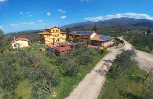 Mansion with Pool and play area - Foto 19