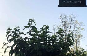 Lefka Apartments - Foto 72