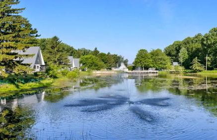 Chalet #36 The Perfect View - Photo 8