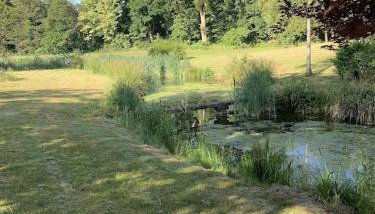 The Quackery - Foto 4