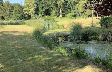 The Quackery - Foto 4