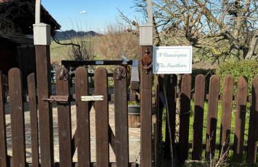 Villa Biancospino - luxury and private villa in Langhe - Foto 38