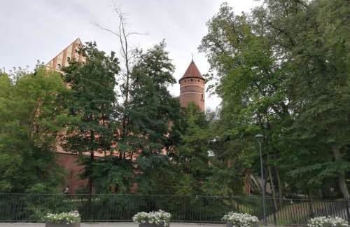 Apartament Familijny - Foto 42