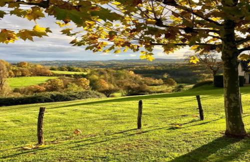 Historic Tower Home in Brignac - Foto 32