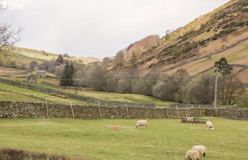 Kearton Shunner Fell - Foto 13