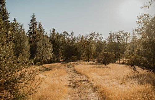 Romantic Forest Lovers Nest by Casa Oso - Foto 15