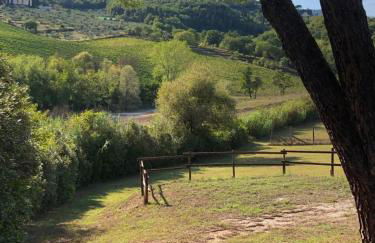 La Gufaia - holiday house with private pool near Florence - Foto 6