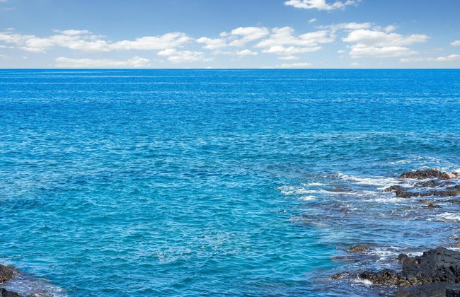 Big Island Kona Makai 4205 1 Bedroom Condo - Photo 34