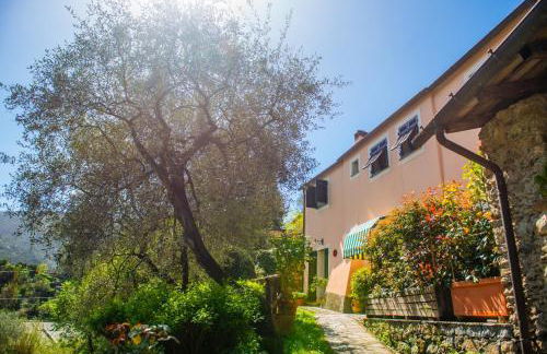 Agriturismo Villa Caterina - Foto 14