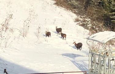 La Guillemette - Foto 40