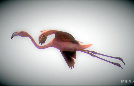 CozyHome - Cabanas - Photo 60