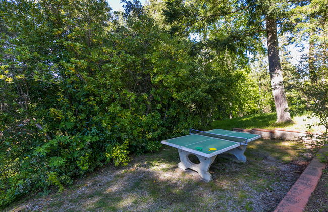 San Vivaldo, Nr. 11 - Foto 49