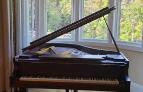 Gorgeous Retreat 5 Acres Paradise - Foto 10