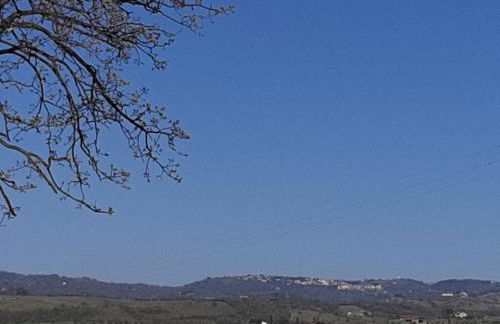 Agriturismo Uliveto Gretacci - Foto 55