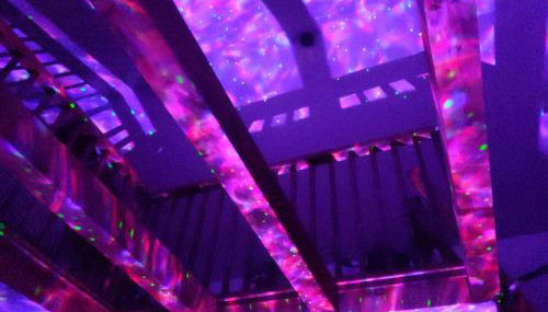 Plant House - Foto 5