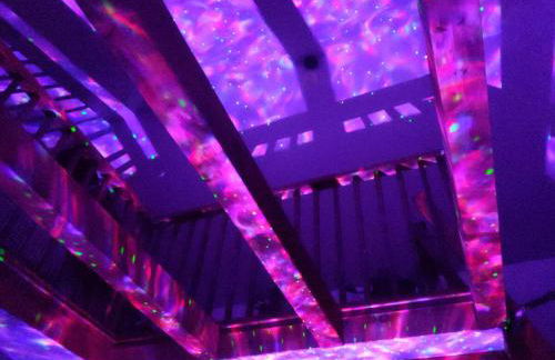 Plant House - Foto 5