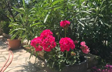 App Sorgo - Photo 41