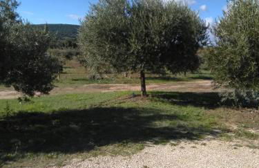 Vacances Vaison la Romaine - Photo 12