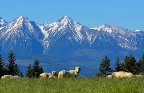 Agroturystyka Chmiel - Foto 48
