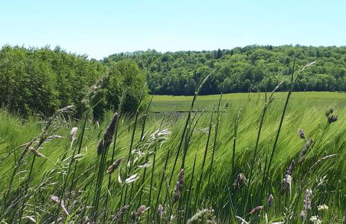 Les Chenevières - Foto 29