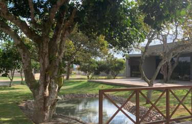 Villas de Bananeiras - Photo 29