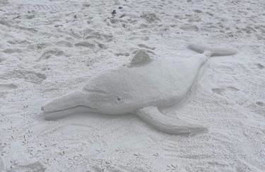 Holiday Surf and Racquet Unit 612 - Foto 26