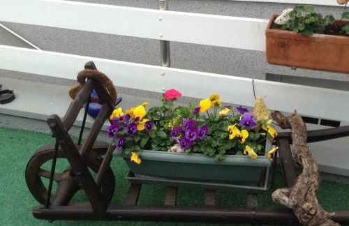 Glasner Comfortable Holiday Residence - Foto 3