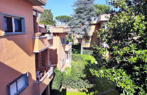 I levrieri Colombo - Foto 36