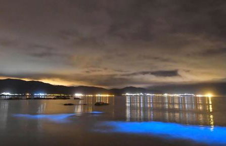 A Casa de Feli - Foto 25